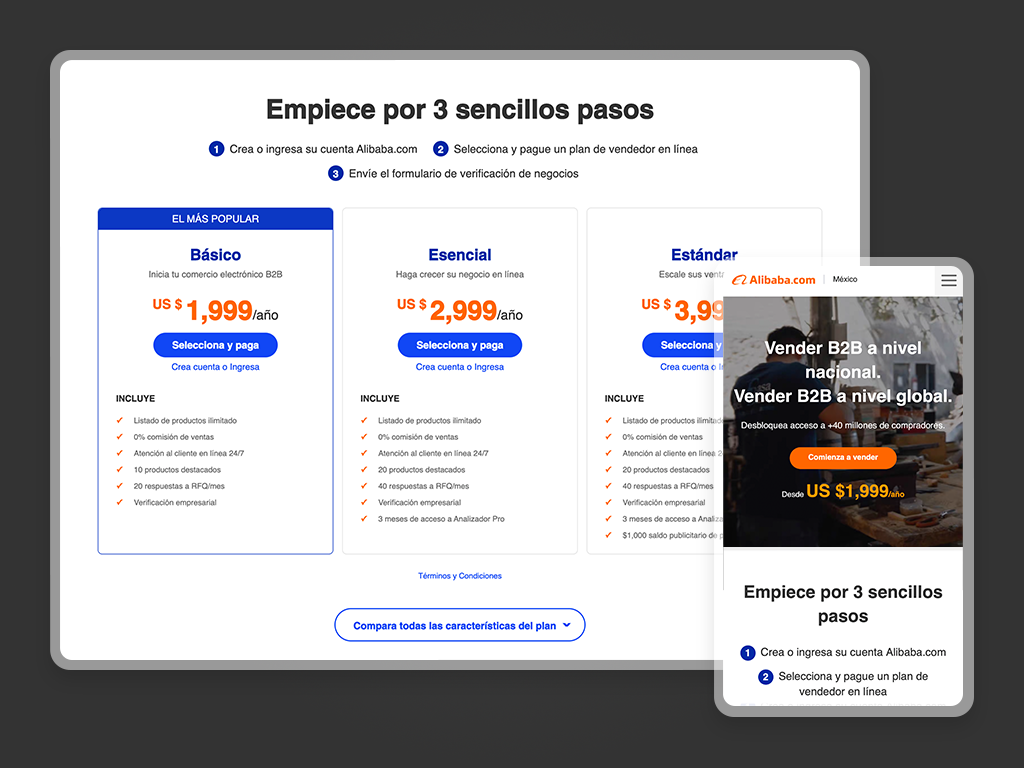 Alibaba.com Mexico Seller Acquisition Website